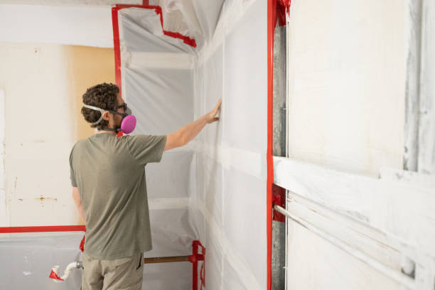 Best Mold Prevention Services  in Tarrant, AL