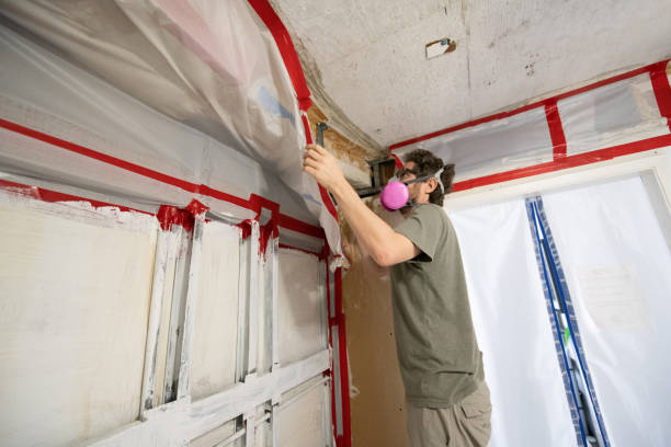 Best Post-Remediation Verification Testing  in Tarrant, AL