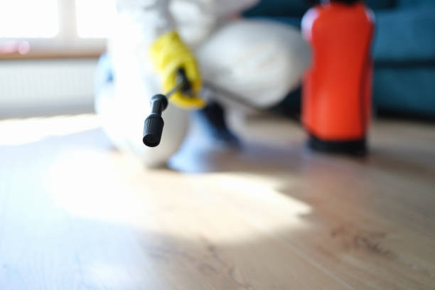 Best Mold Documentation for Insurance Claims  in Tarrant, AL