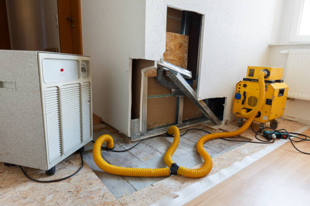 Best Post-Construction Mold Inspection  in Tarrant, AL
